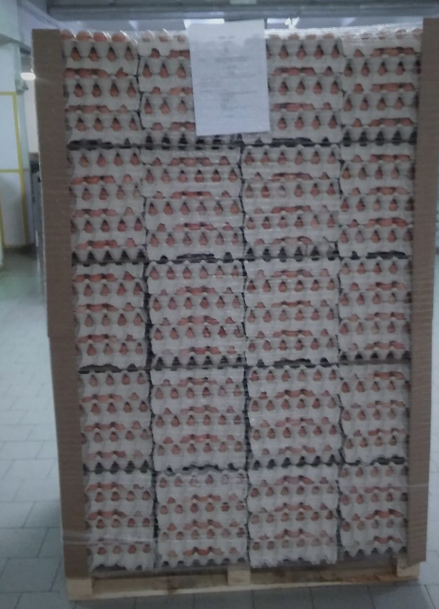 eggs